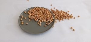 Ağın Leblebisi (1 Kg)