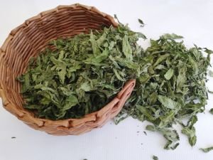 NANE KURUSU       50 Gr.